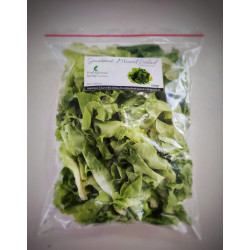 Hydroponic Lettuce bag